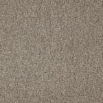 Teppichfliese Balta Diva 50 x 50 cm, Farbe 810 beige/ braun Selbstliegende Teppichfliesen, geeignet für Fußbodenheizungen und Stuhlrollen im Wohnbereich. Rückenbeschichtung aus Bitumen mit Vliesabdeckung. Feinschlinge, 340g / m² Florgewicht. Verschiedene Farben lassen sich auch kombinieren.

 	Teppichfliese 50 x 50 cm
 	Gesamtgewicht: 4060 g/m²
 	Florhöhe: 3,1 mm
 	Brandklasse B1